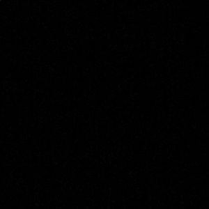 Meet your Posher, Damian